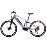 ebike