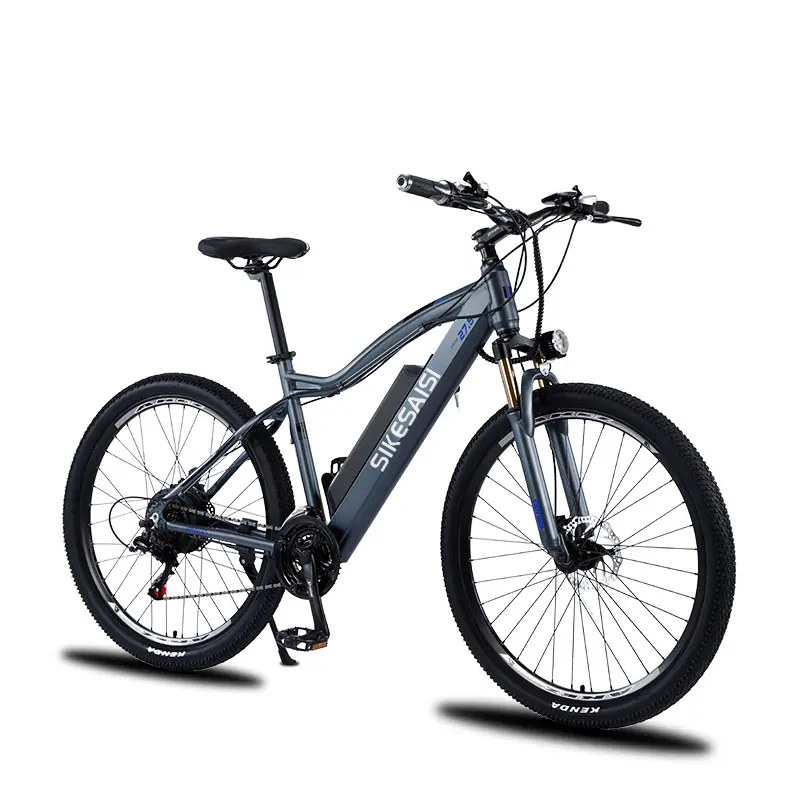 electric bicycle