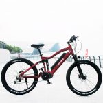 alloy ebike