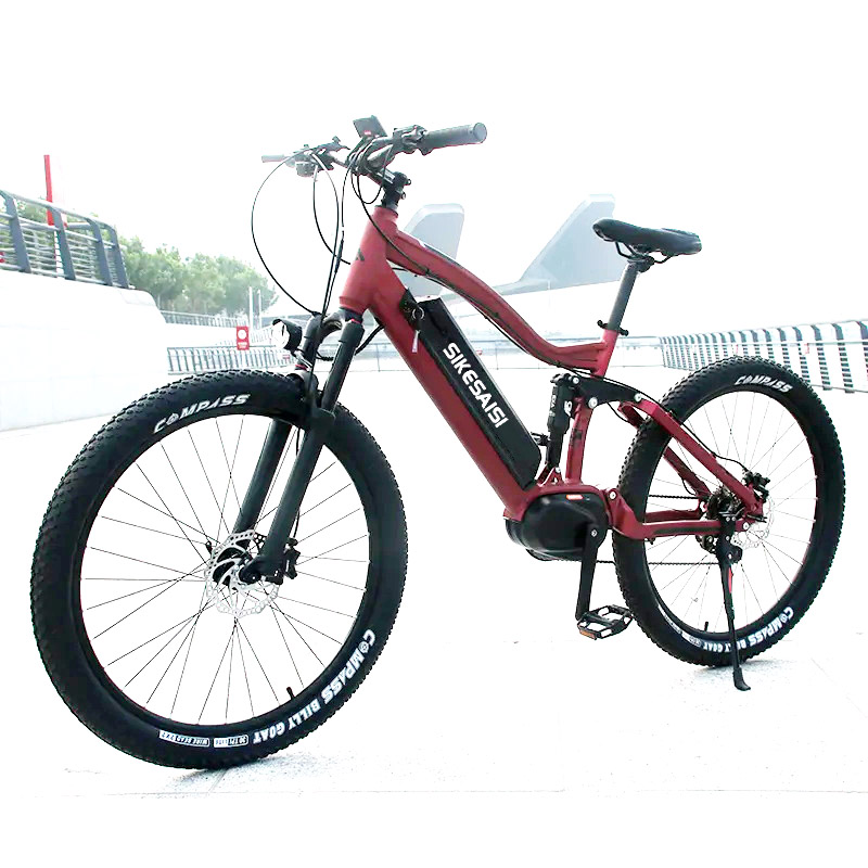 alloy ebike