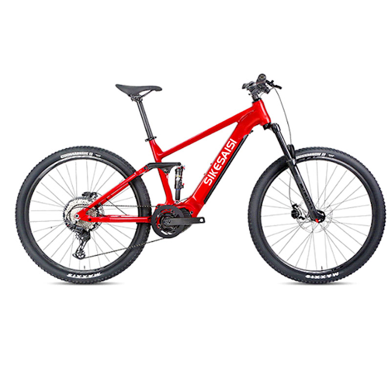 alloy ebike 12s