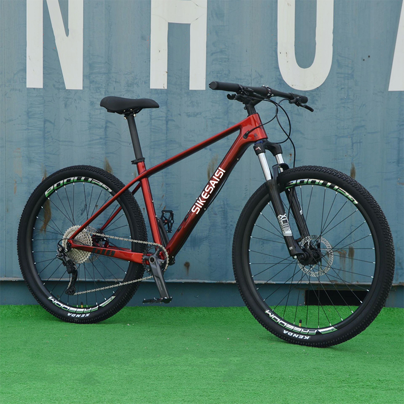 11 speed mountain bike