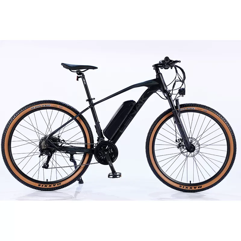 mtb ebike