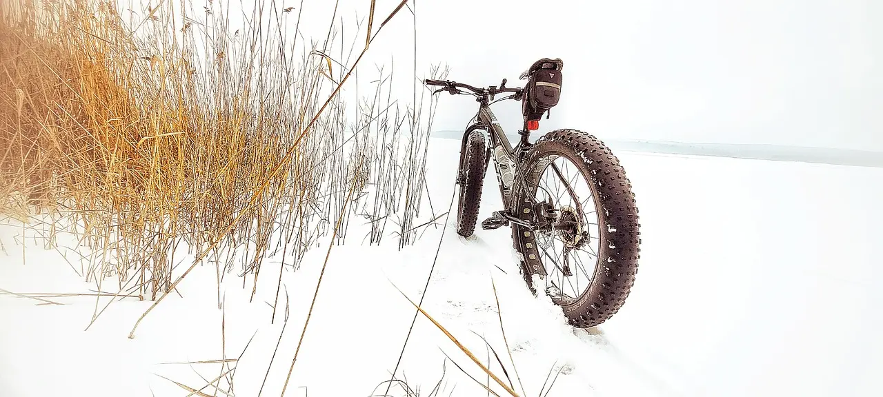 Riding Into the Future: Exploring the Thrilling World of Electric Snow Bikes