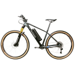 carbon ebike