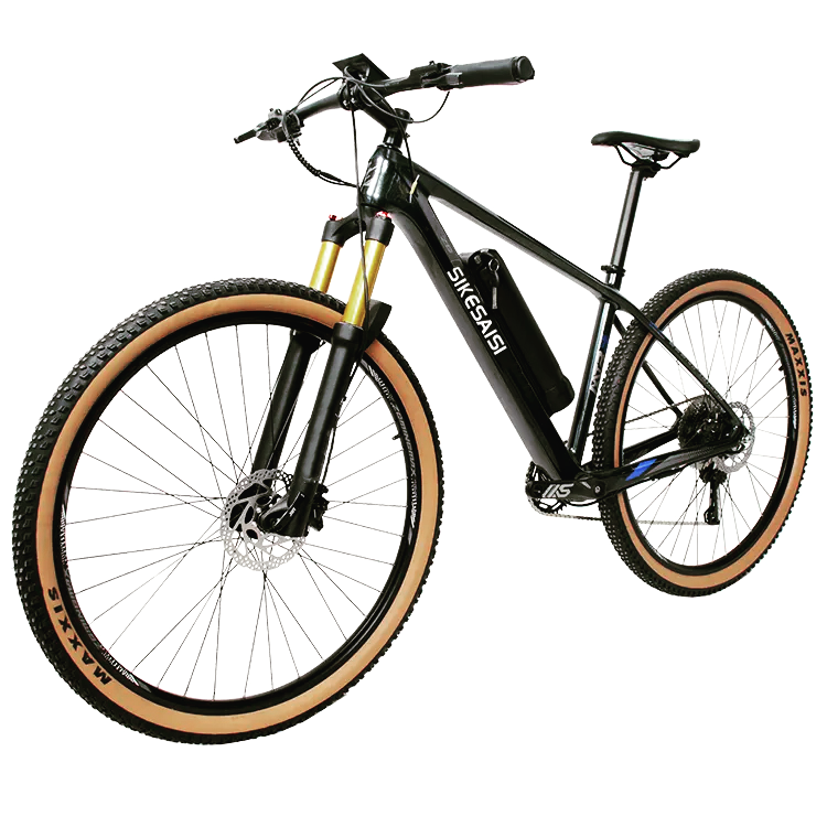 carbon ebike