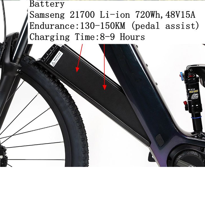 carbon fiber ebike (1)