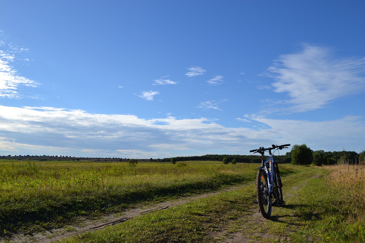 What kind of Maintenance Do Electric Mountain Bicycle Require?