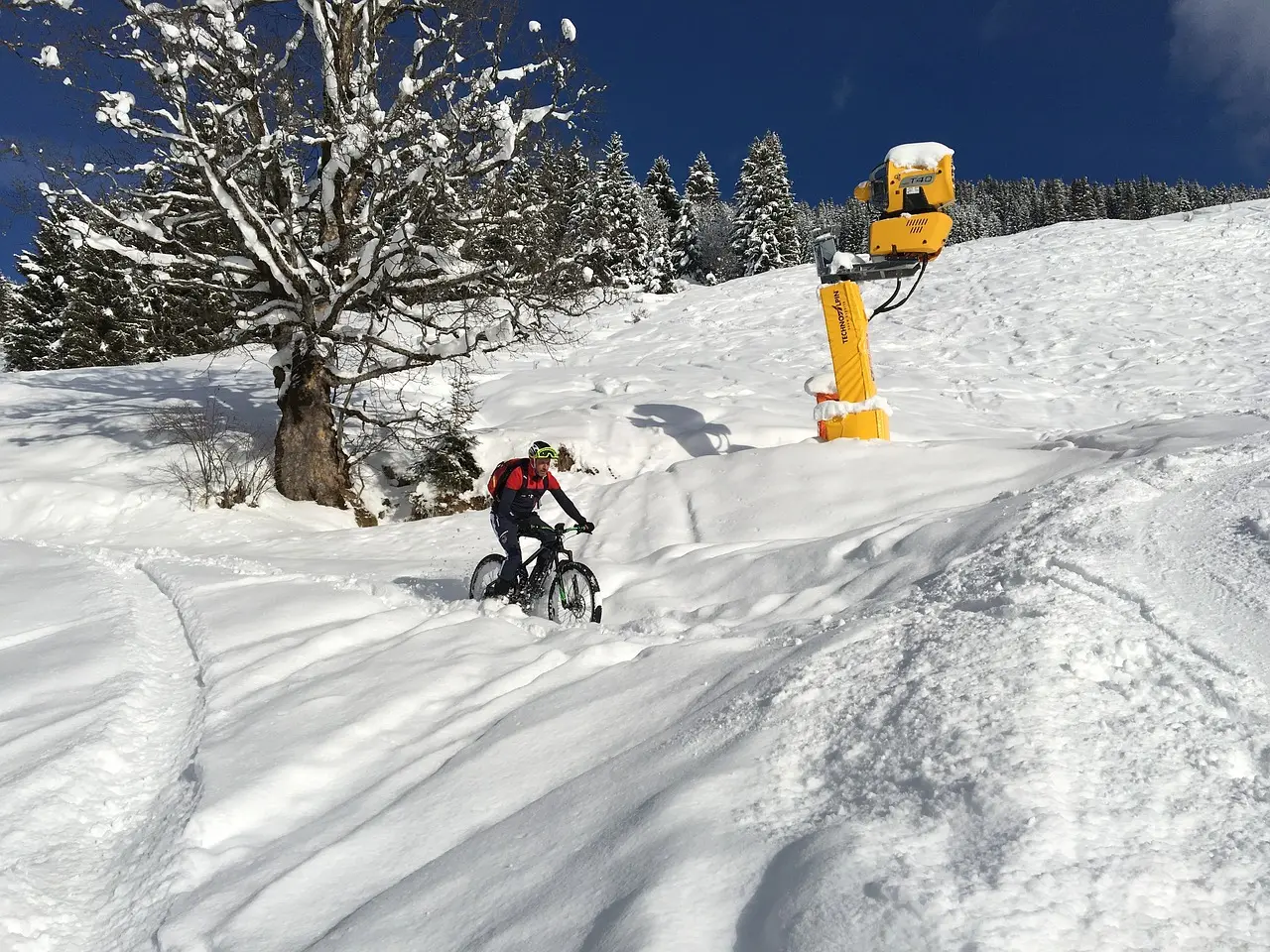 electric snow bikes