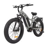 fat tyre electric bike