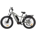 electric snow bike