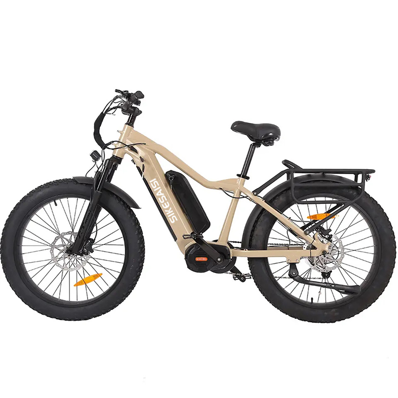 electric snow bike