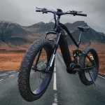 fat tyre electric bike