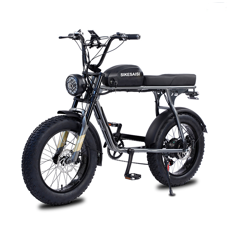 lithium battery bike