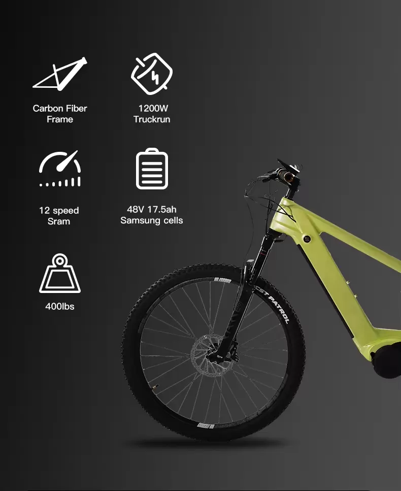 1000W EBIKE