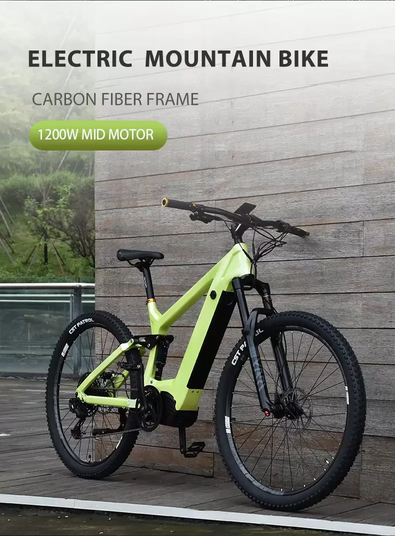 1000W EBIKE