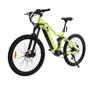 1000W EBIKE