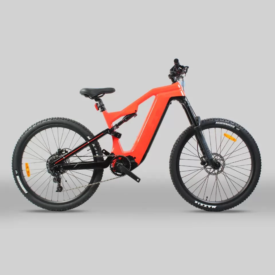 Carbon mtb (7)