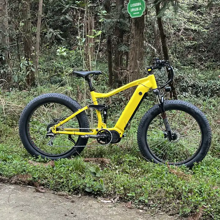 fat tyre ebike