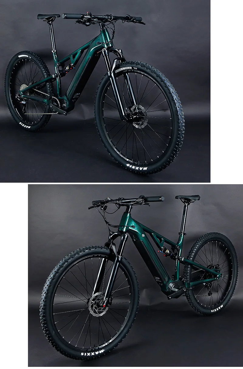 carbon ebike