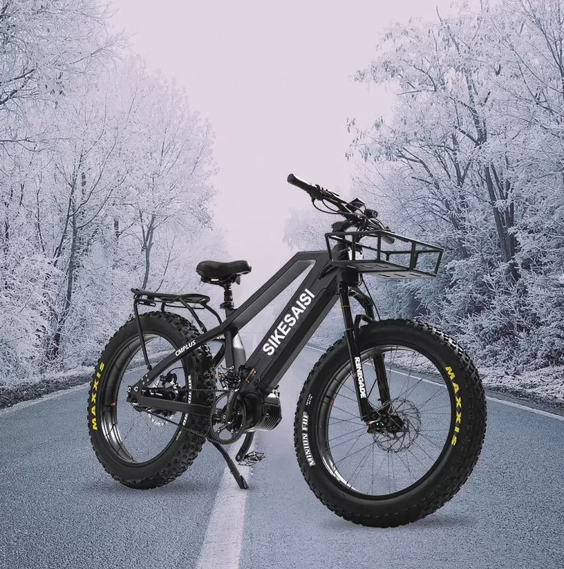 fat tyre ebike snow bike