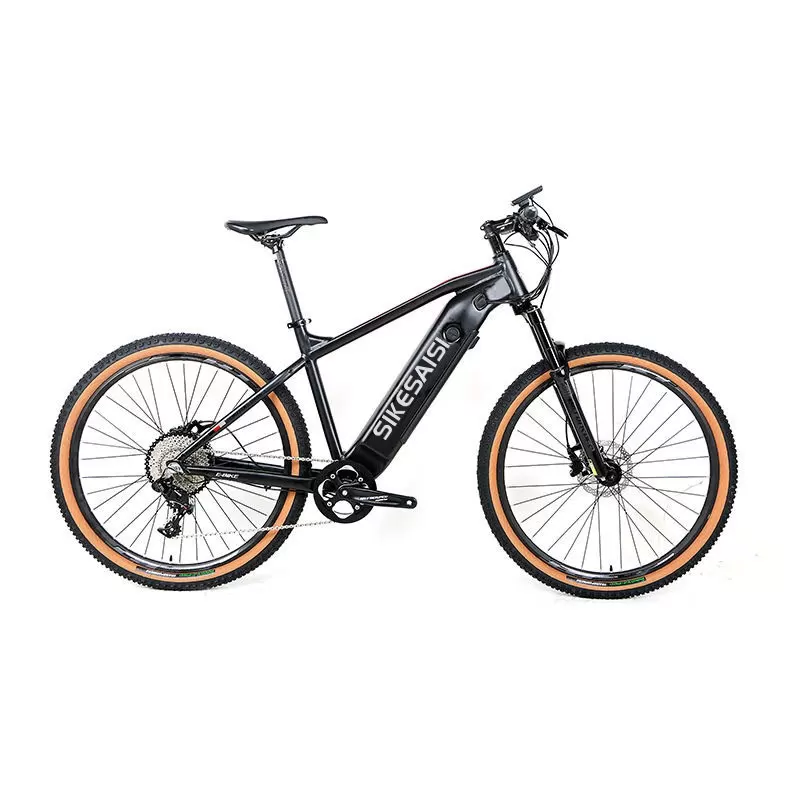 ebike 12speed (3)