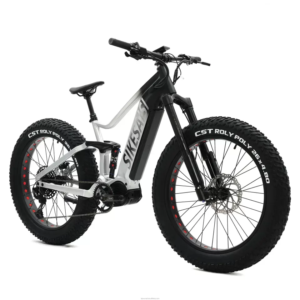 fat ebike (6)