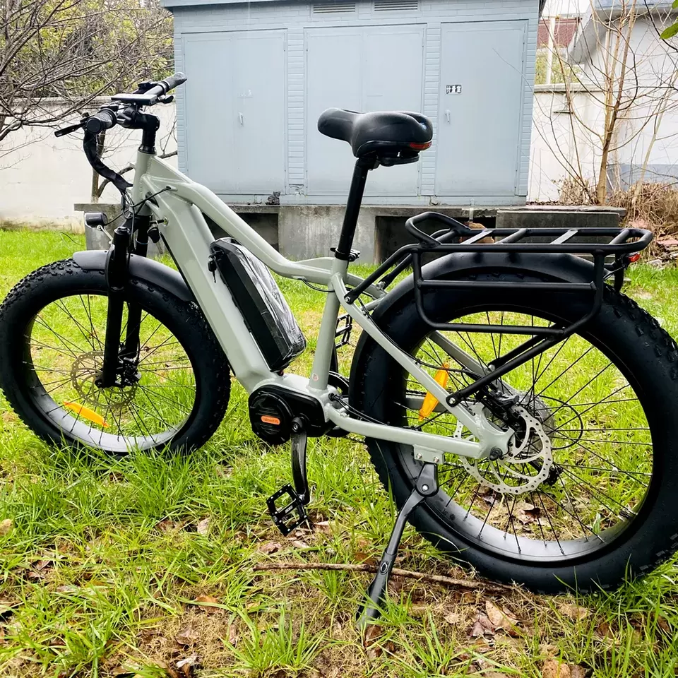 ebike