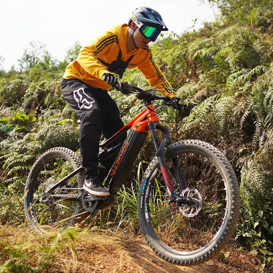 A Comparison of Flexible Off-Road City Bicycles for All-Terrain Riding