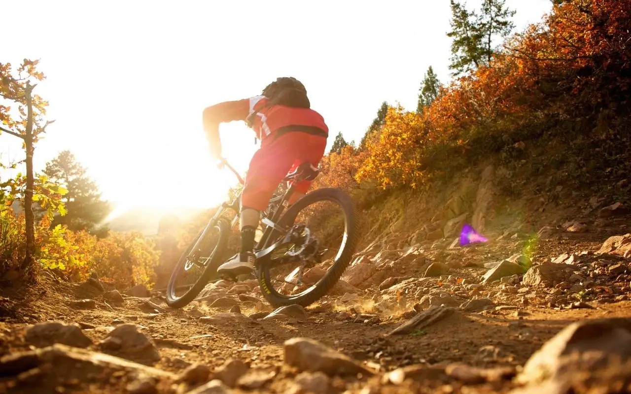 Road Bikes vs Mountain Bikes: What’s the Difference?