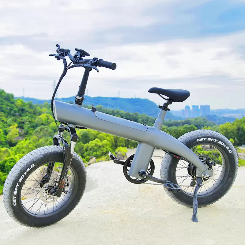 20inch Electric bike (4)