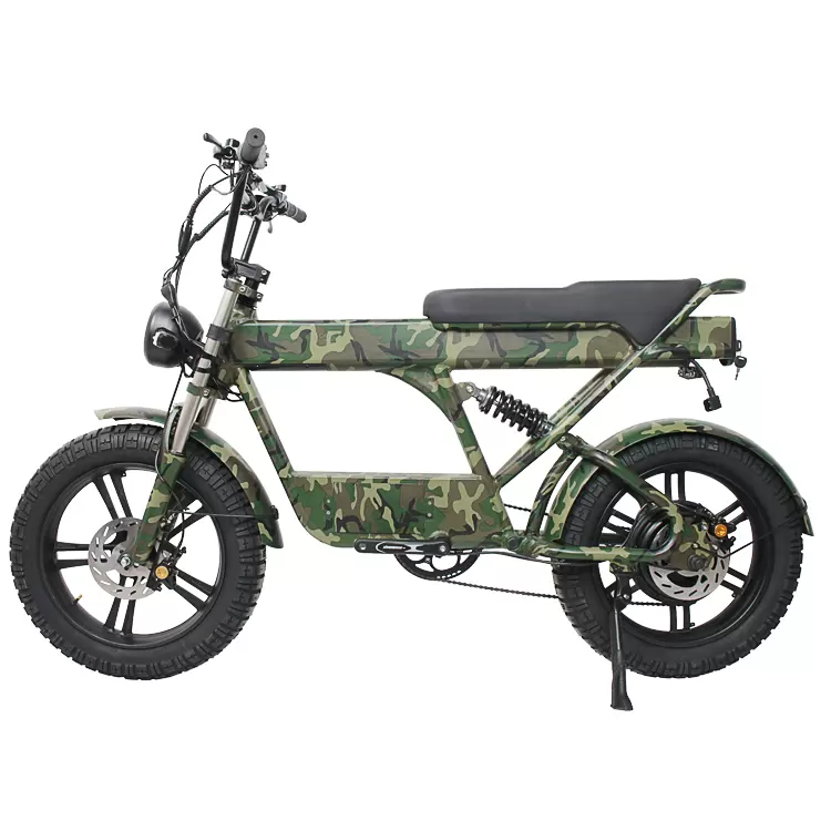 48V 1000W  1*7 Speed Electric Mountain E-Bike