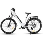 Electric Bikes