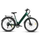 Electric Bikes