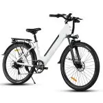 Electric Bikes