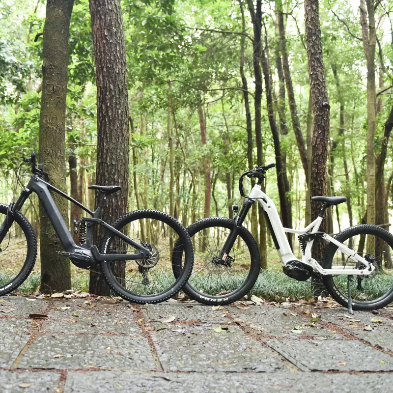 soft tail ebike