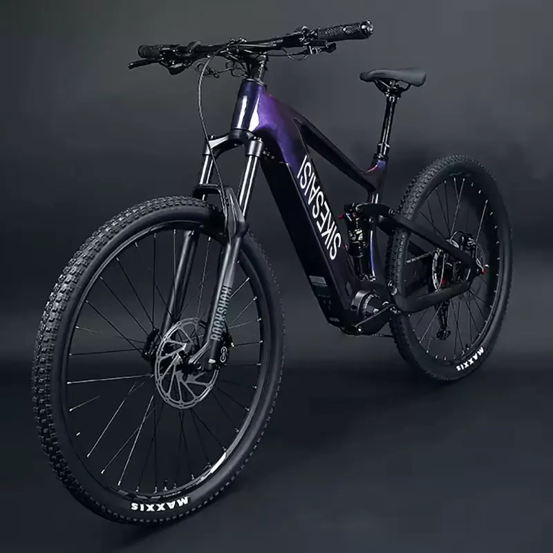 2024 New Technology and Development on Ebikes