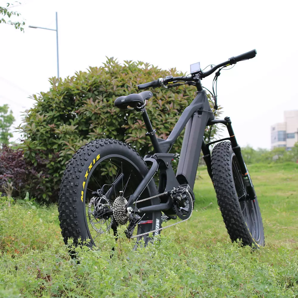 1000w carbon fiber ebike (1)