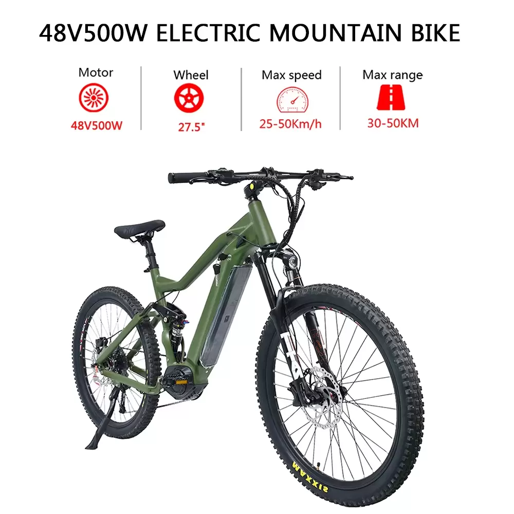 electric bike