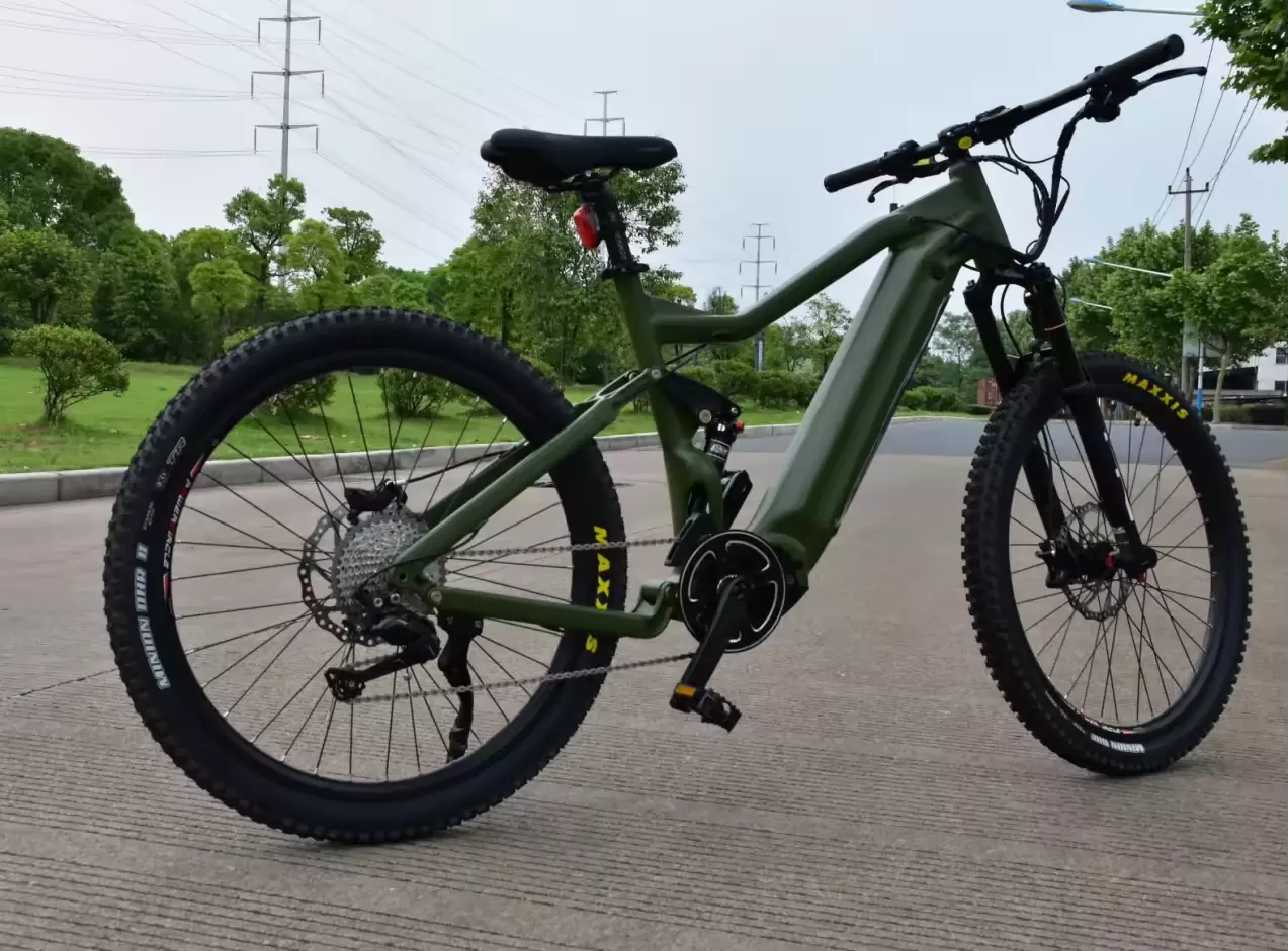 mountain ebike (1)